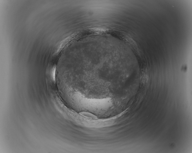 X0000112460047200908171213