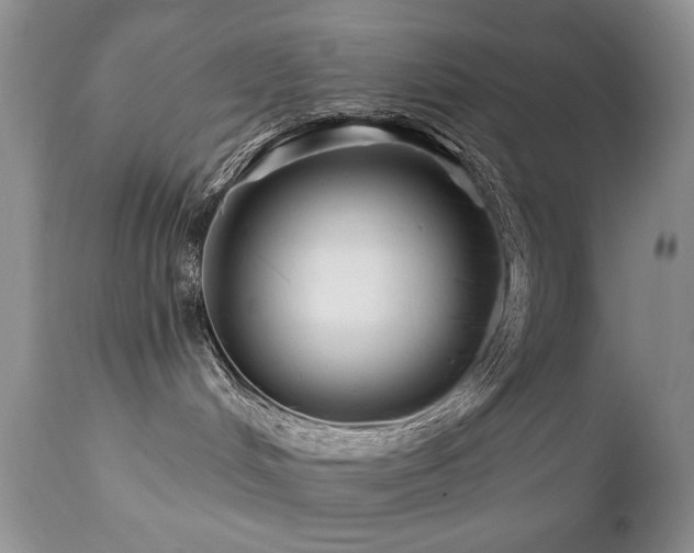 X0000112460048200908171213