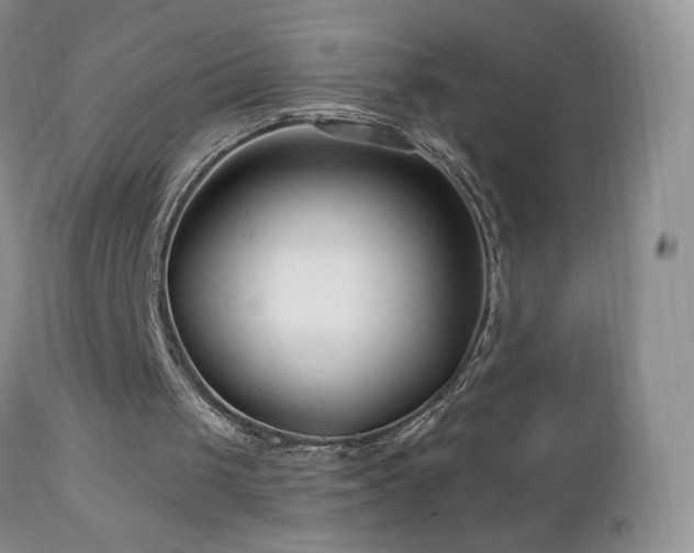 X0000112460049200908171213