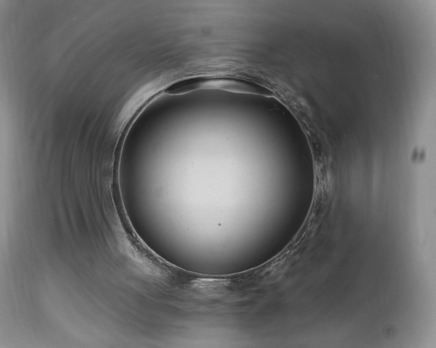 X0000112460051200908171213