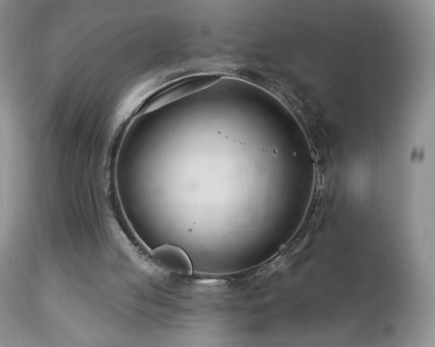 X0000112460053200908171213