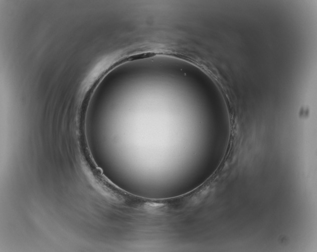 X0000112460055200908171213