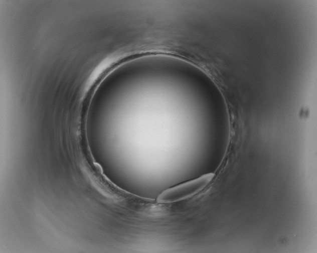 X0000112460056200908171213
