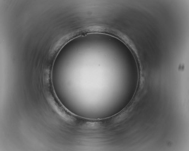 X0000112460057200908171213