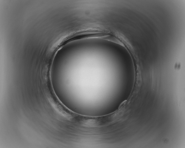 X0000112460058200908171213