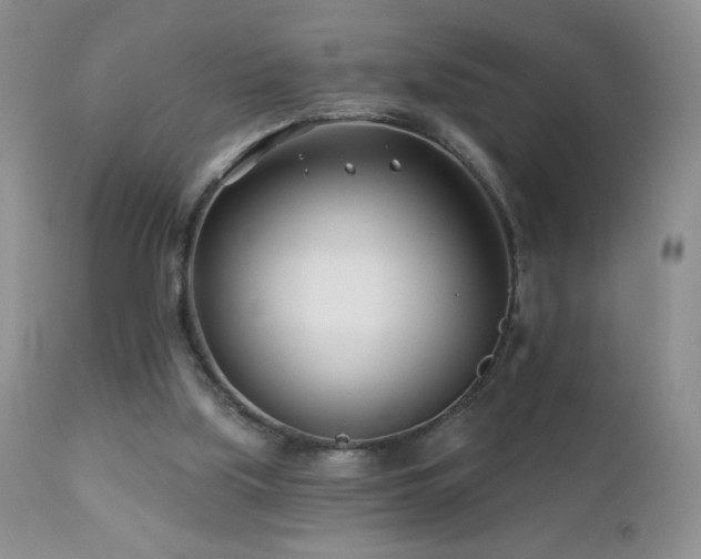 X0000112460059200908171213