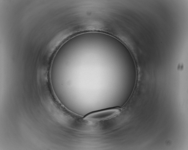 X0000112460060200908171213