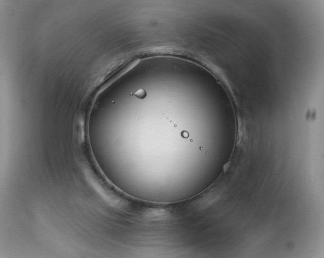 X0000112460061200908171213