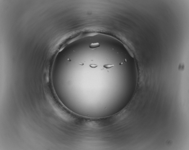 X0000112460062200908171213