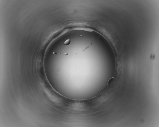 X0000112460063200908171213