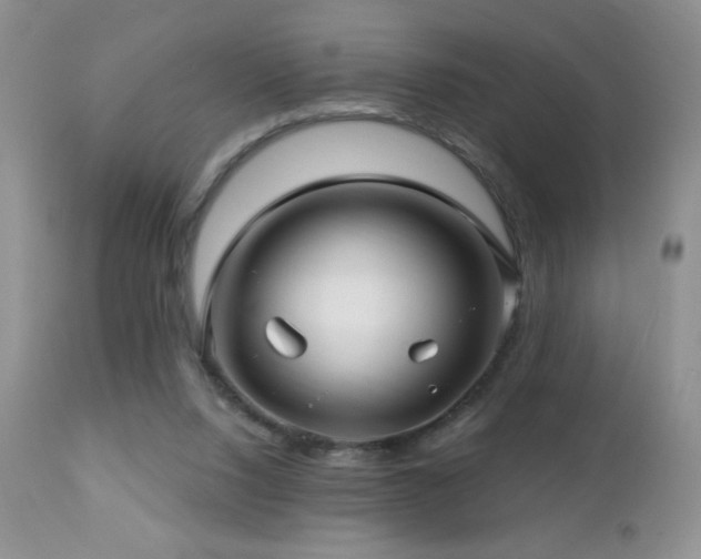 X0000112460064200908171213