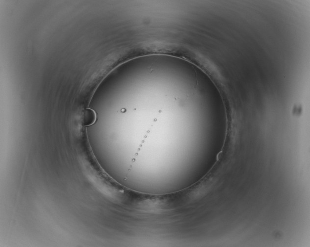 X0000112460065200908171213