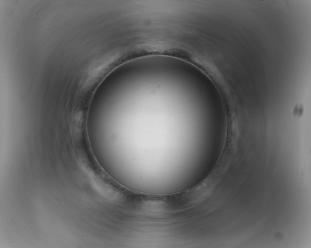 X0000112460066200908171213
