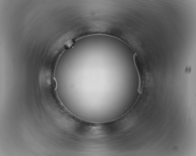X0000112460068200908171213