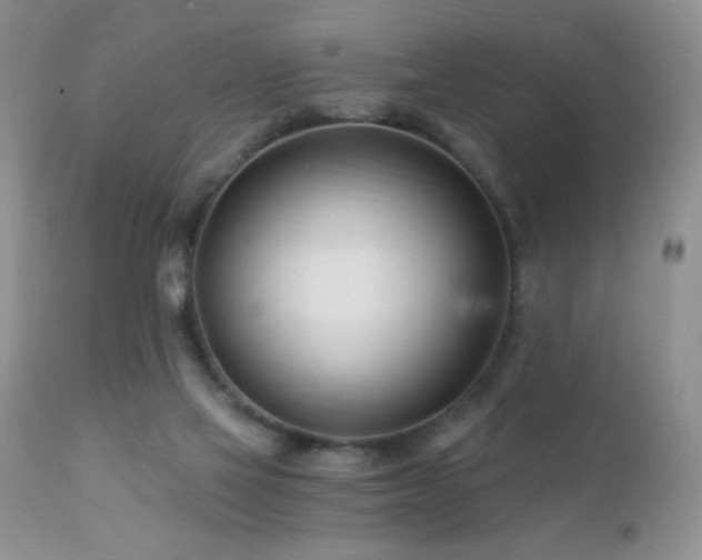 X0000112460069200908171213