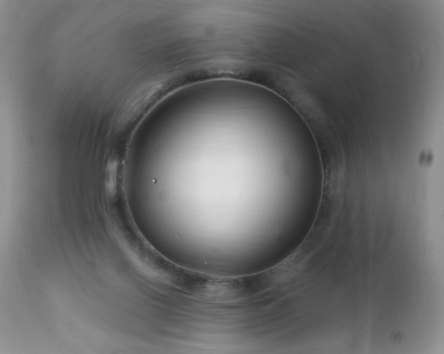 X0000112460070200908171213