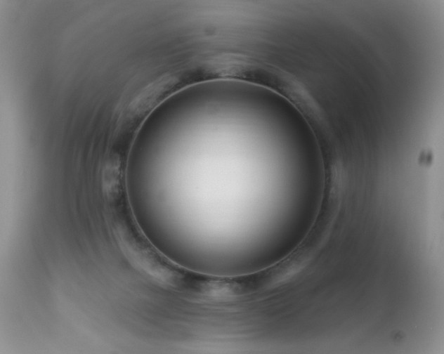X0000112460073200908171213