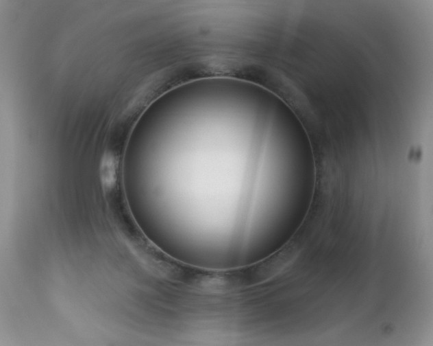 X0000112460075200908171213