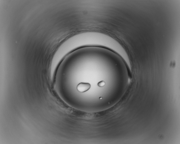 X0000112460076200908171213