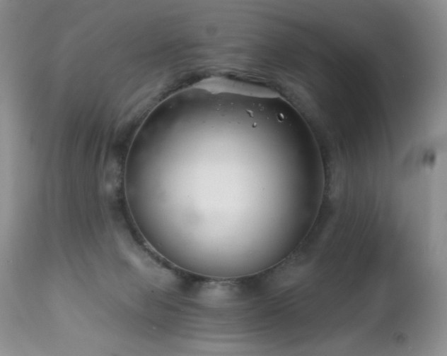 X0000112460077200908171213