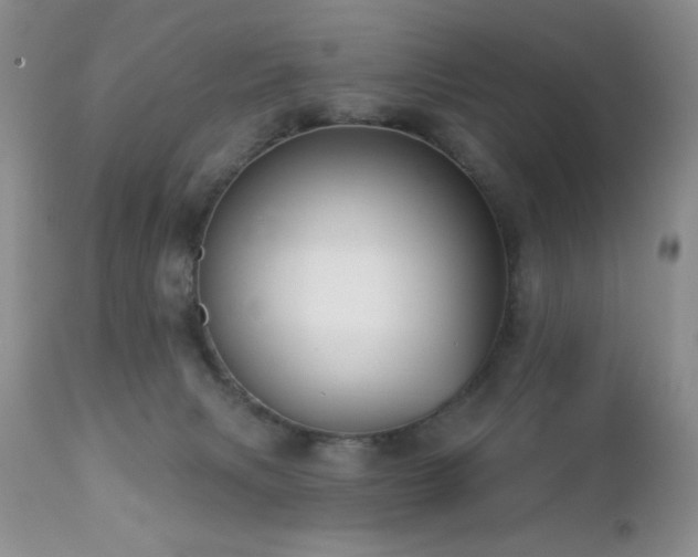 X0000112460079200908171213