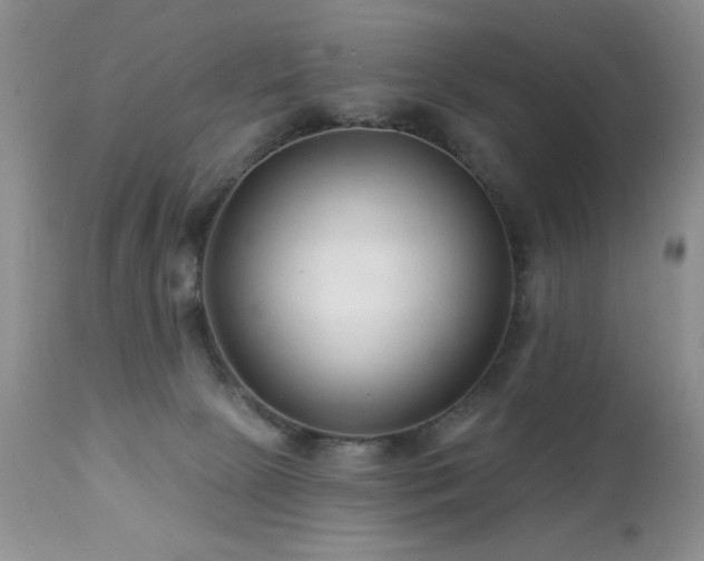 X0000112460081200908171213