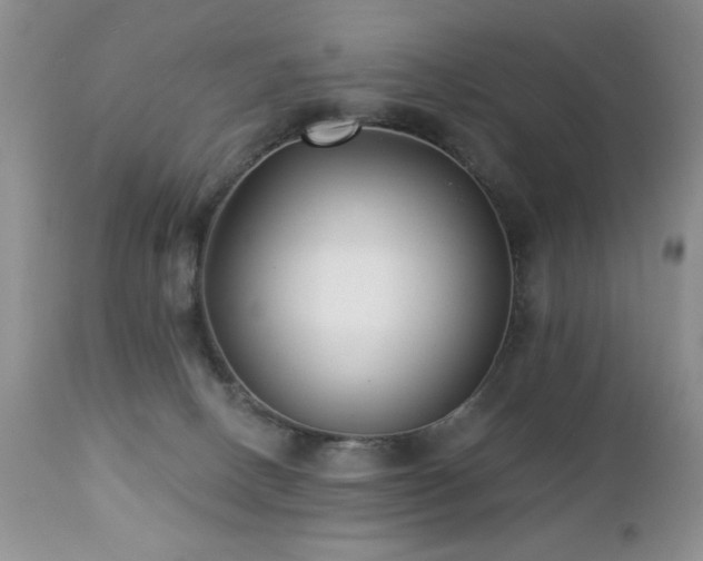 X0000112460082200908171213