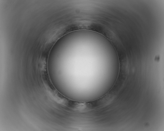 X0000112460083200908171213