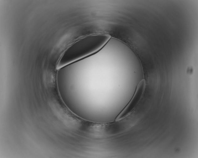 X0000112460084200908171213