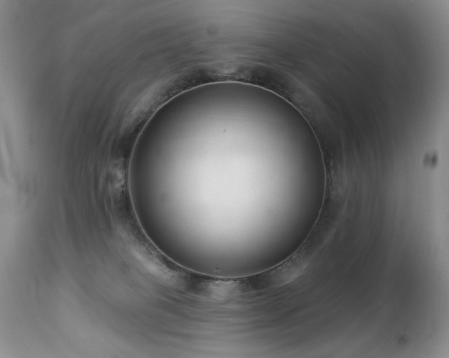X0000112460085200908171213