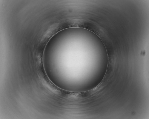 X0000112460086200908171213