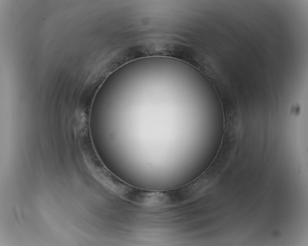 X0000112460087200908171213