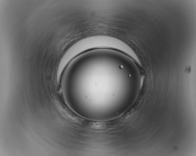 X0000112460088200908171213