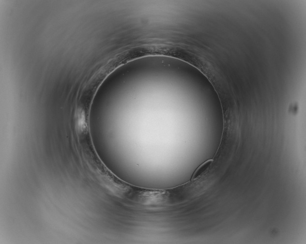 X0000112460089200908171213