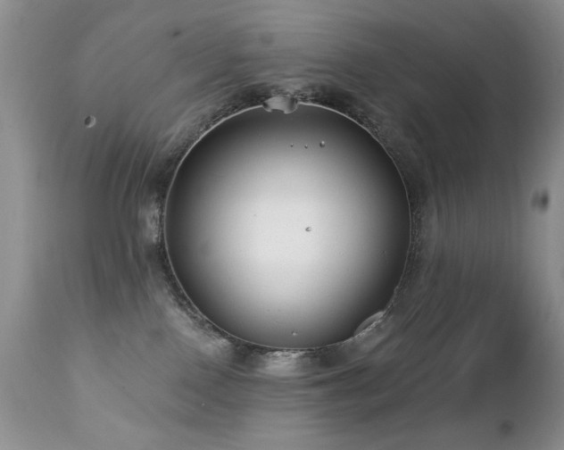 X0000112460090200908171213