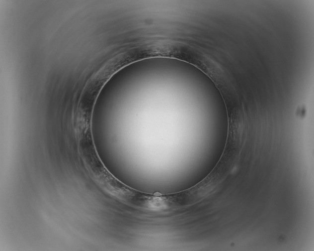 X0000112460091200908171213