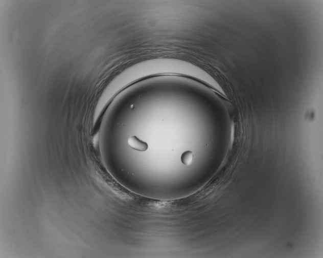 X0000112460092200908171213