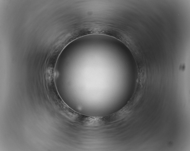 X0000112460093200908171213