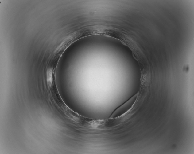 X0000112460094200908171213