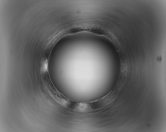 X0000112460095200908171213