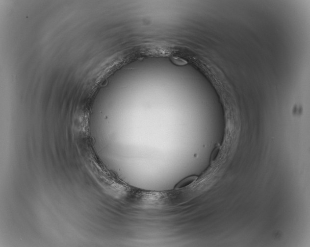 X0000112460096200908171213