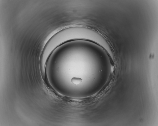 X0000112460100200908171212