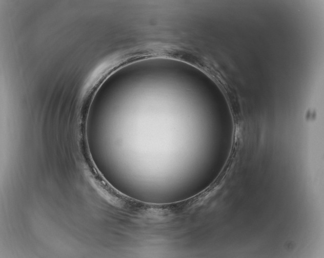 X0000112460101200908171212