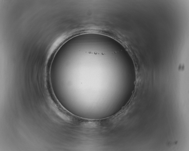 X0000112460102200908171212