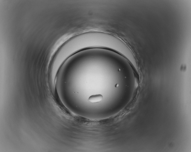 X0000112460104200908171212