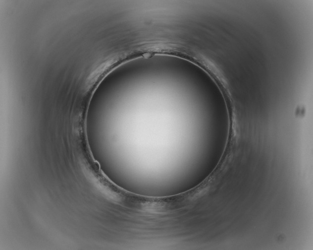 X0000112460105200908171212