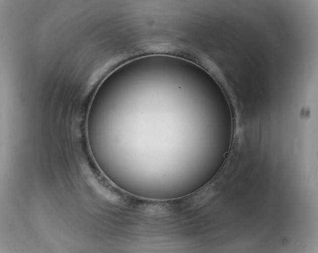 X0000112460106200908171212