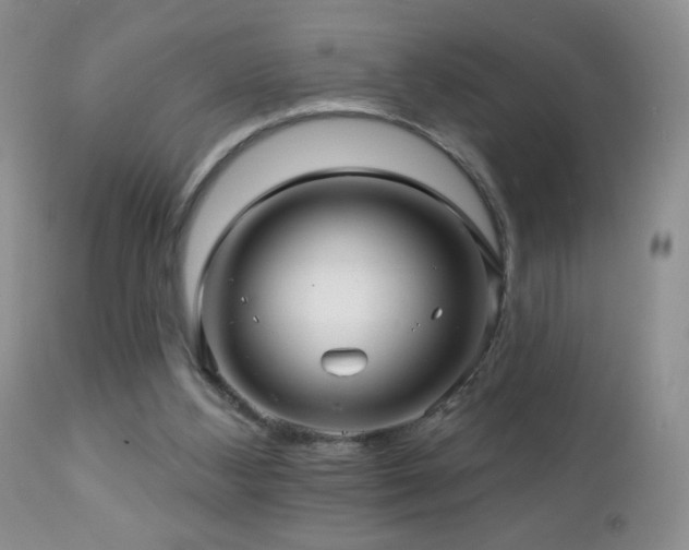 X0000112460108200908171212