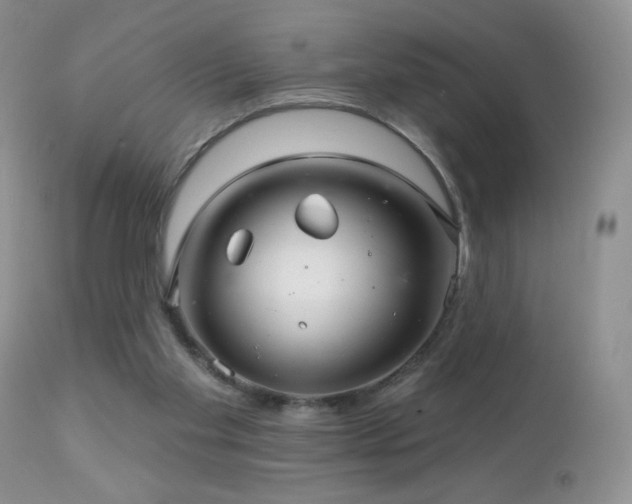 X0000112460109200908171212