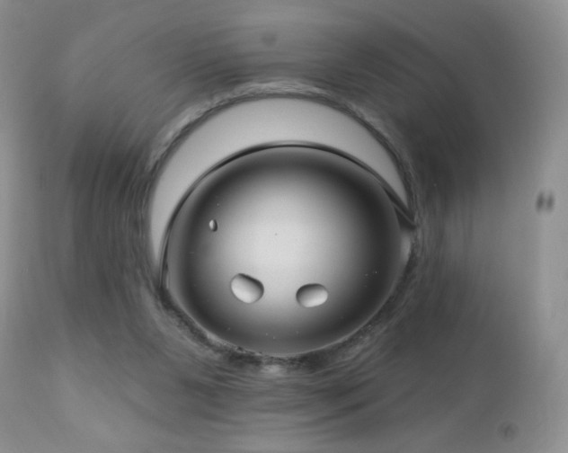 X0000112460111200908171212